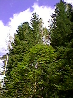 SP_A4425.jpg