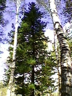 SP_A4427.jpg