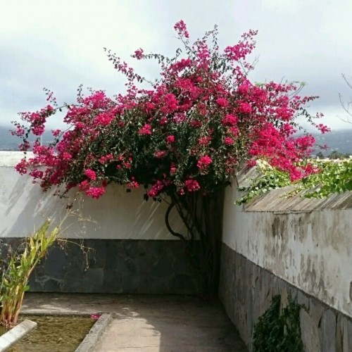 rps20170421_184027.jpg