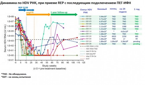 ФИНАЛ.jpg