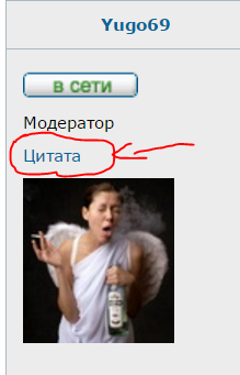 цитата.PNG