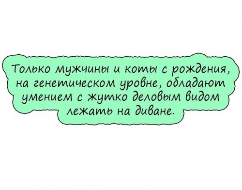 image (31).jpg