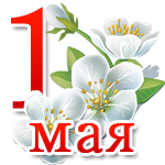 IMG_0187.PNG
