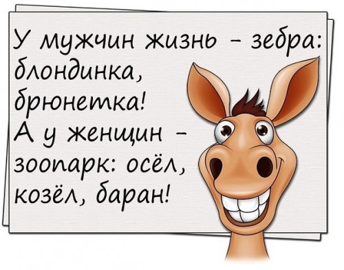 image (7).jpg
