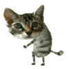 126199.gif