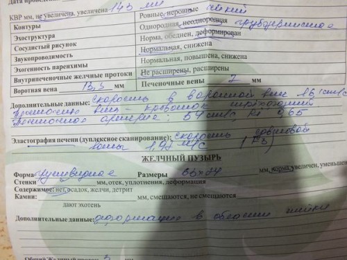 ЭЛА.JPG