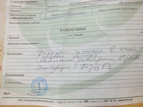 эла2.JPG
