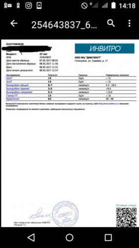 972262.jpg