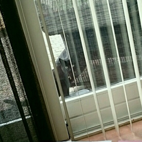 rps20170511_173304.jpg