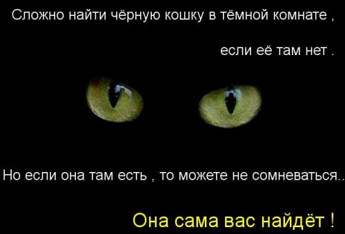 107926269_a814c46d80da4e1a03db5fa3b0e75d57_800.jpg