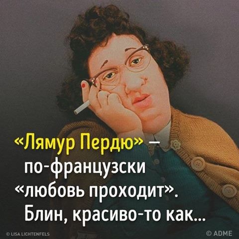 lp.jpg