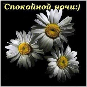 1495817268980.jpg