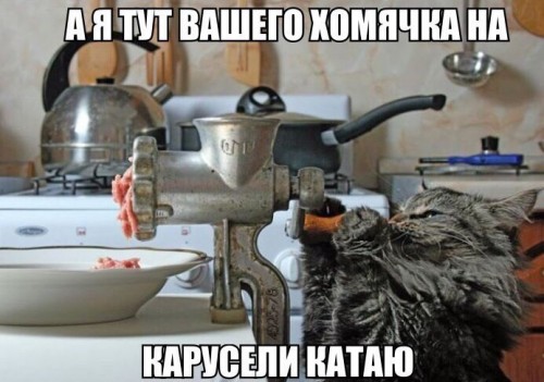 teuOqJdfK6g.jpg