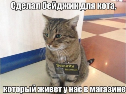 g8VdF6wAJIo.jpg
