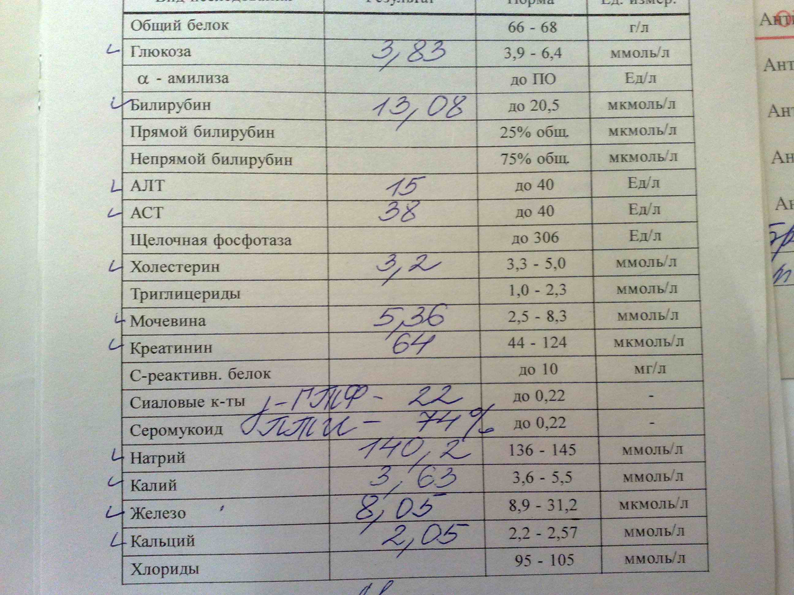 08082012305.jpg