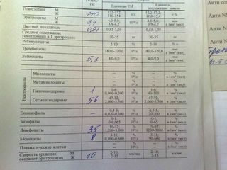 08082012307.jpg
