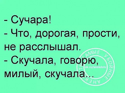 сучара.jpg