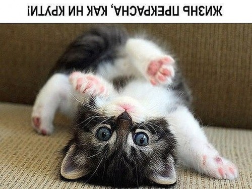 image (78).jpg