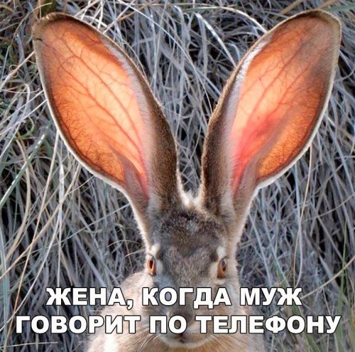 87GDVvKi7SY.jpg