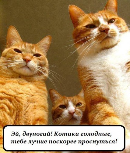 кооо.jpg