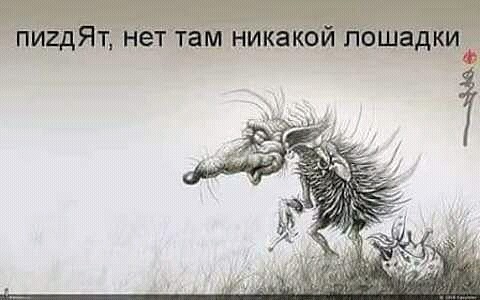 ежик.jpg