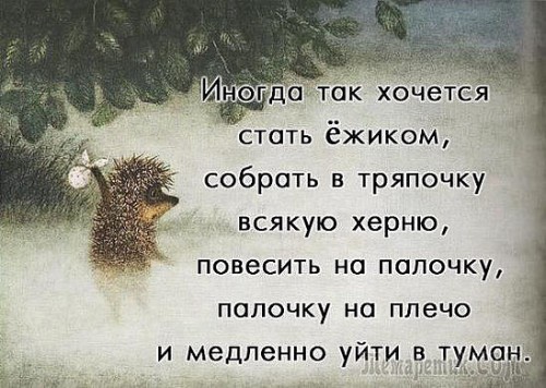 ежик2.jpg