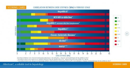 Fibroscan_Correlation1-768x403.jpg