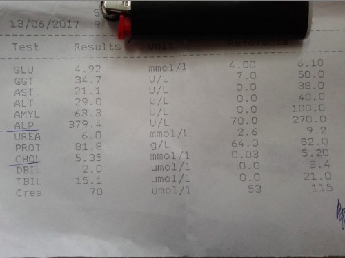 20170614_171036.jpg