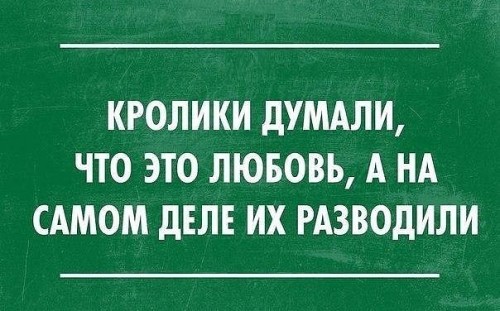 кролики.jpg