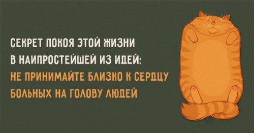 IMG_1755.JPG