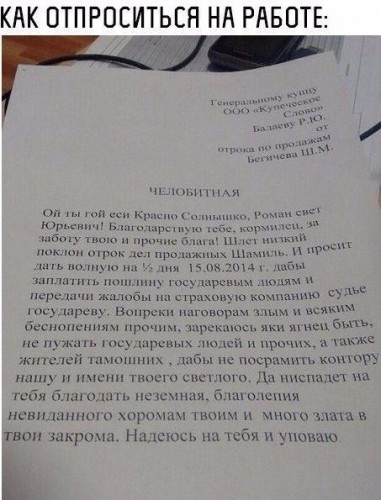 image (1).jpg