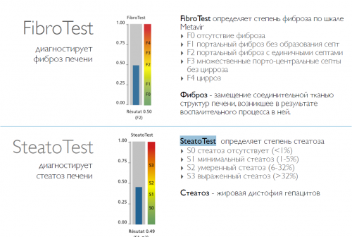 fibrotest2.PNG