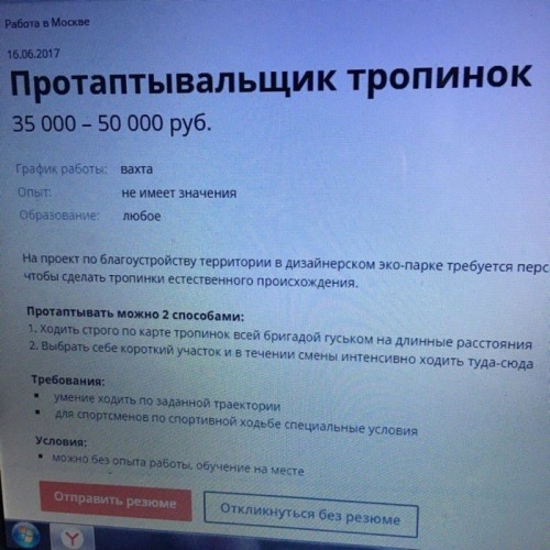 image (1).jpg