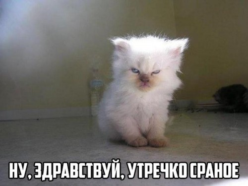 TOLg8GcysUA.jpg