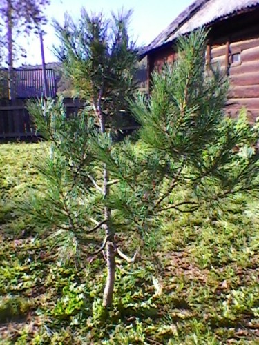 SP_A4759.jpg