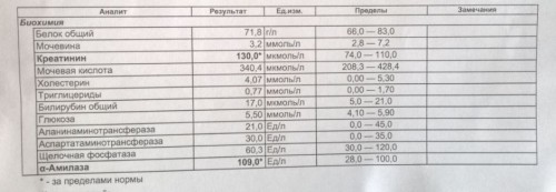 био4.JPG