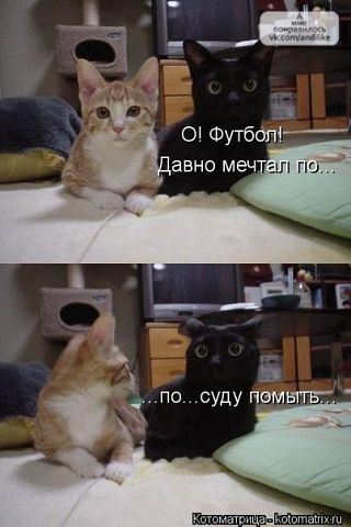 getImage.jpg