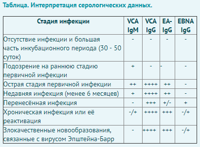 Безымянный.png