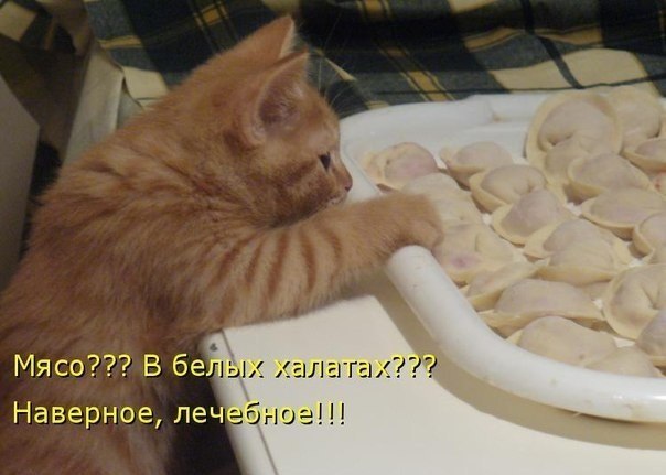 ieXvn2XObok.jpg