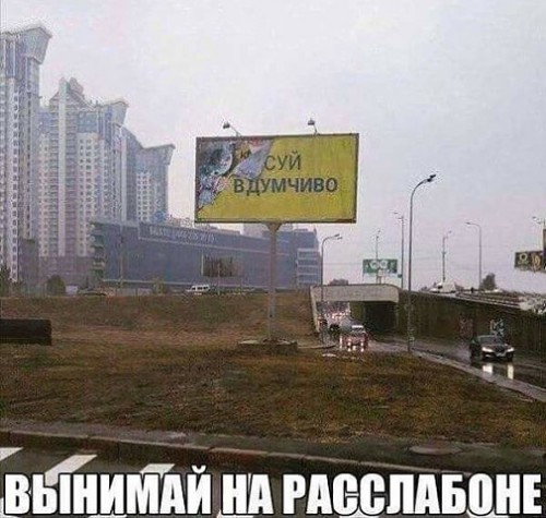 ++.jpg