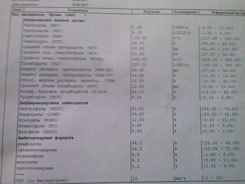 CAM00115.jpg