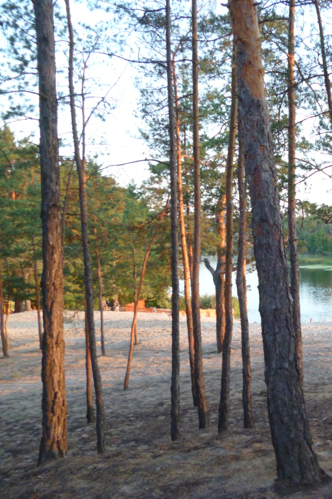 P1020751.JPG