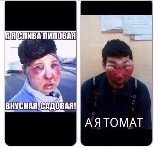 садоводы.jpg
