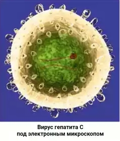 file.php(6).jpg