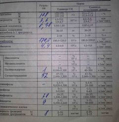 17.08.2012.jpg