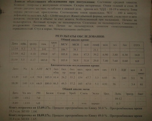 IMG-20170922-WA0007.jpg
