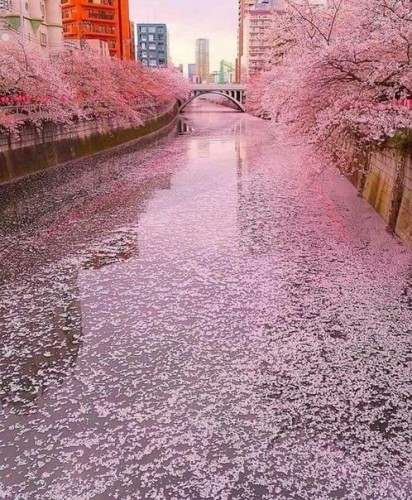 image (10).jpg