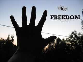feel_freedom.jpg
