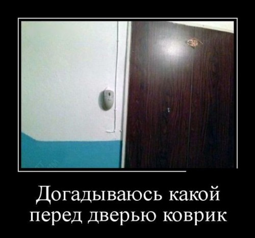 image (52).jpg