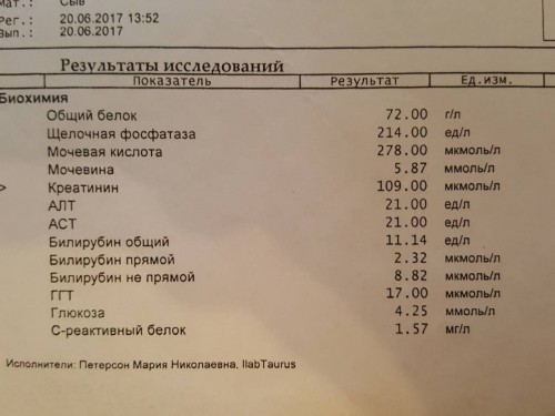 0-02-05-28b781542dd1e62c476cc2d4b8ec363333a3523ab2c902d558da5149380744bc_full.jpg